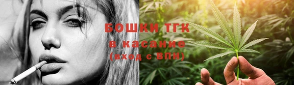 гидра Кинешма