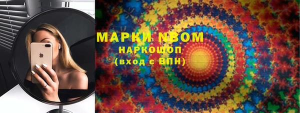трава Карпинск