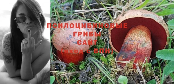 гидра Кинешма