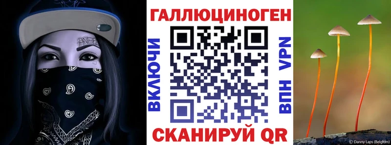 где купить наркоту  кракен   Псилоцибиновые грибы Psilocybine cubensis  Мещовск 
